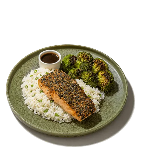 Sesame Teriyaki Salmon